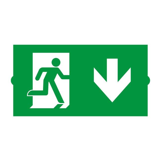 046670 Сменная пиктограмма для аварийных панелей DIRECT Arlight Emg-Direct 046670