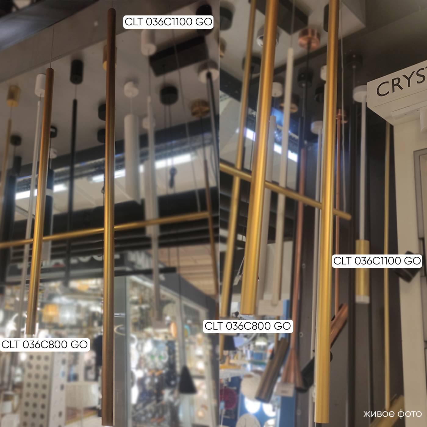 CLT 036C1100 GO Светильник подвесной Crystal Lux Clt 036 CLT 036C1100 GO