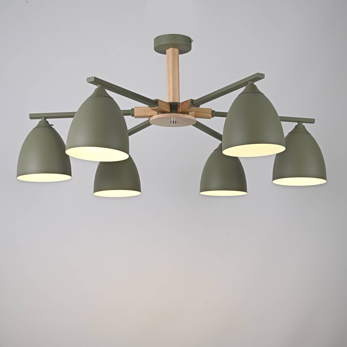 Потолочная люстра ImperiumLoft Noa01 183463-26