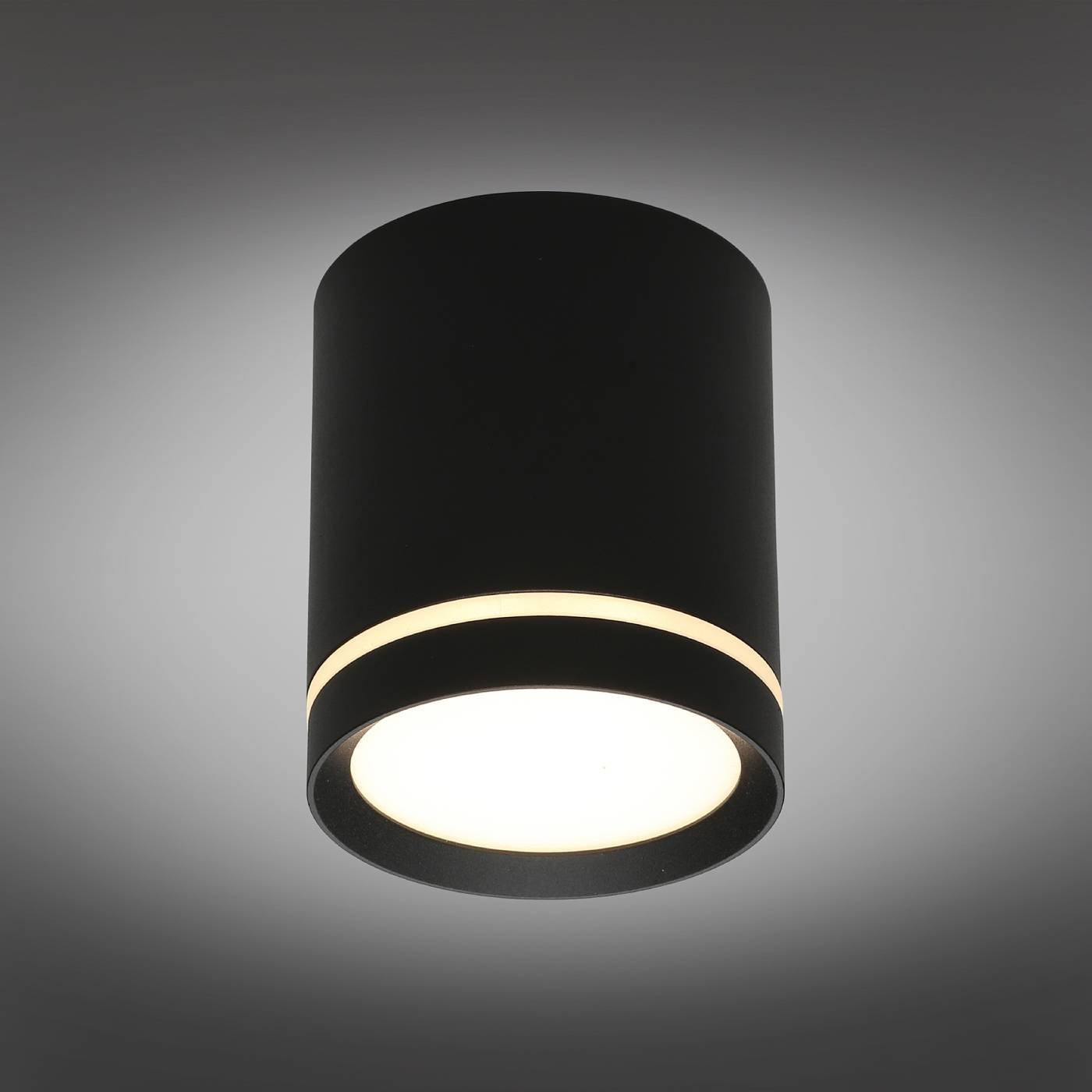 Накладной светильник Omnilux Capurso OML-102439-05