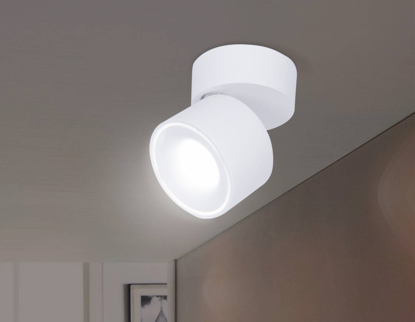 Накладной светильник Ambrella Techno TN268