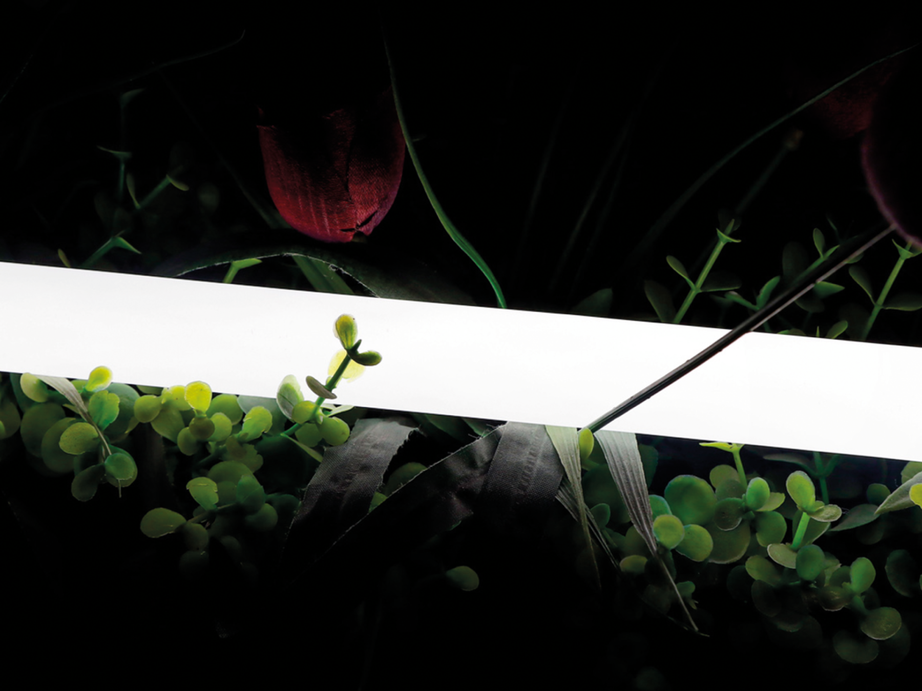 00-00013283 Гибкая LED лента SWG PRO 00-00013283