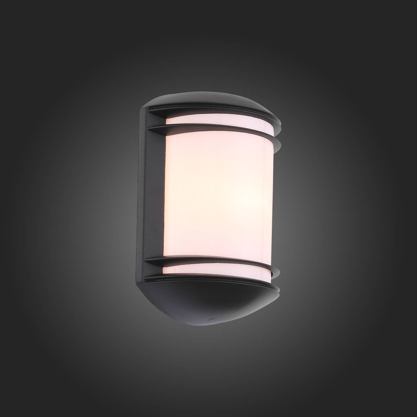 SL076.401.01 Уличный настенный светильник ST Luce Agio SL076.401.01