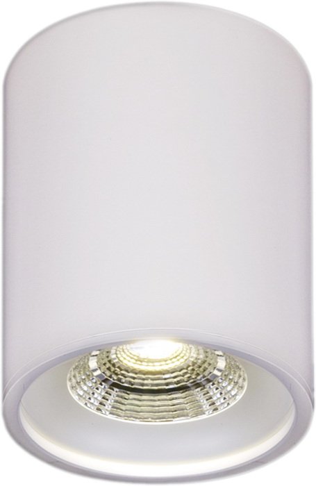 Точечный светильник 81117-9.5-001RT LED10W WT