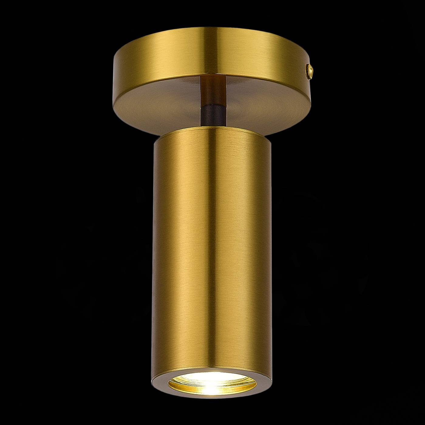 Накладной светильник ST Luce Talia SL1215.402.01