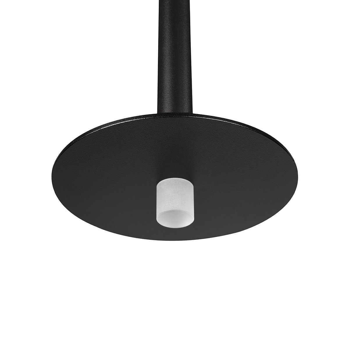 10358/830 Disk Светильник подвесной Loft It Reed 10358/830 Disk