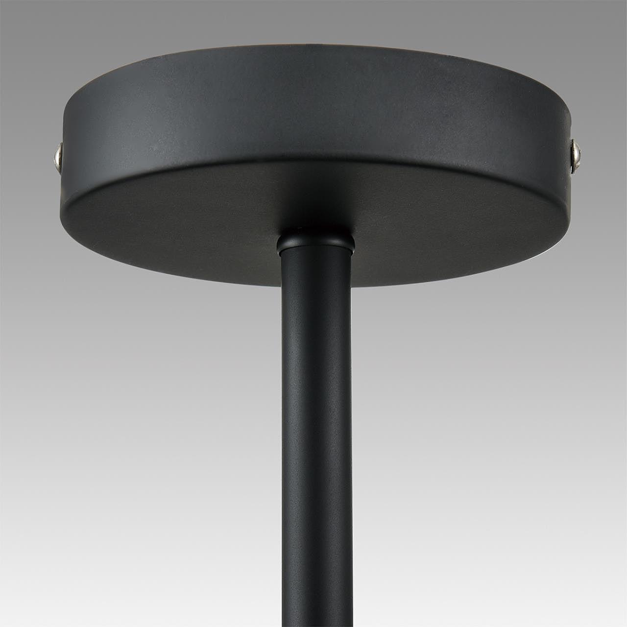 Потолочная люстра Lumion Camilie 8060/6C