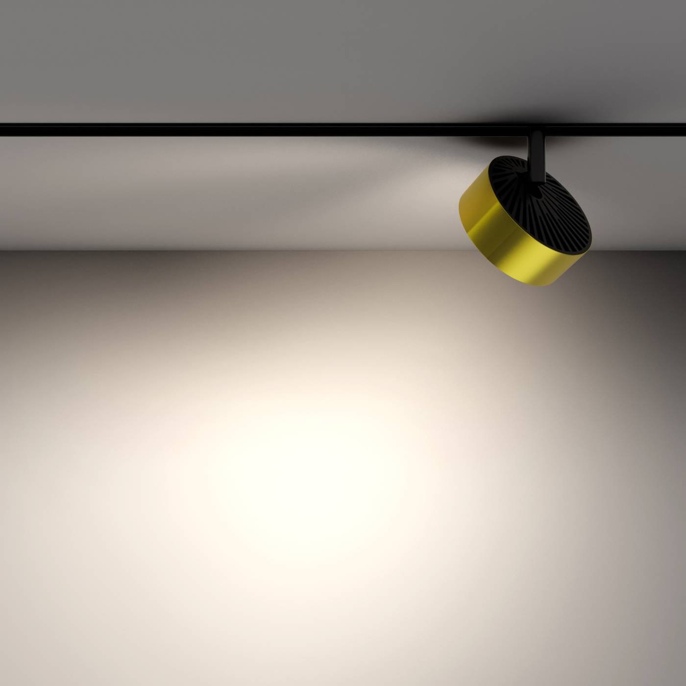 Трековый светильник Maytoni Rado Exility TR040-2-18W4K-BBS