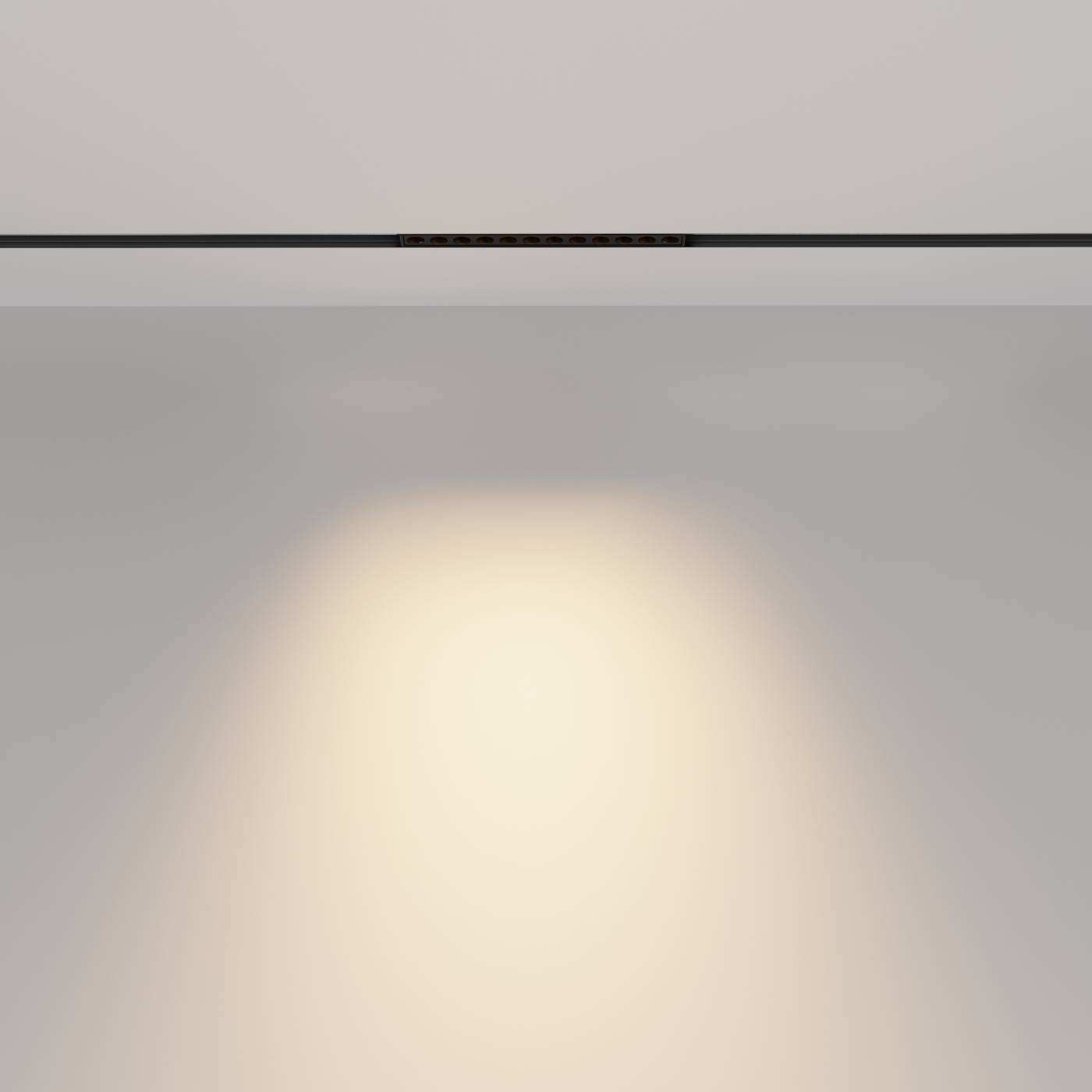 Трековый светильник Maytoni Points TR031-2-12W2.7K-B