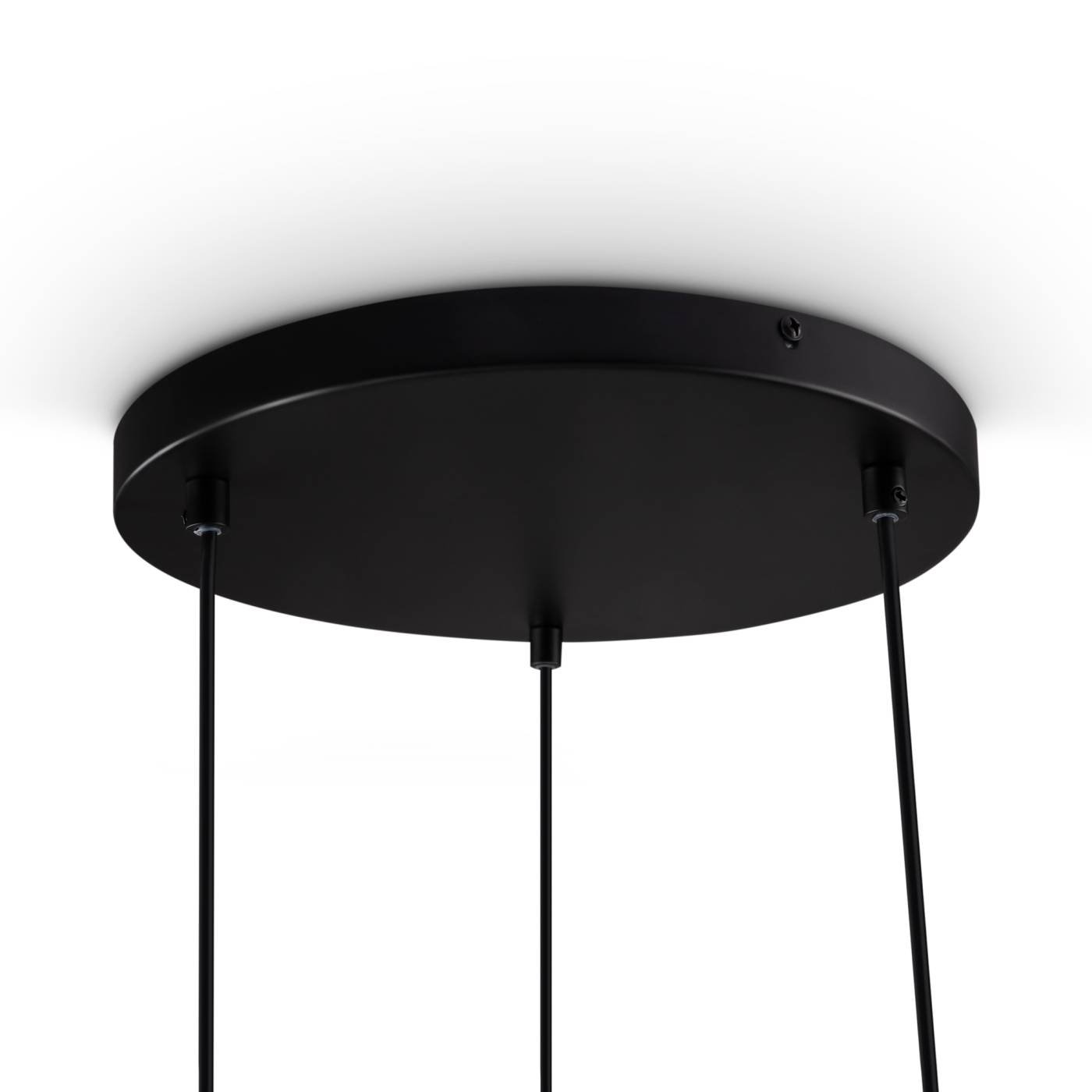 FR1011PL-03B Светильник подвесной Freya Tesse FR1011PL-03B