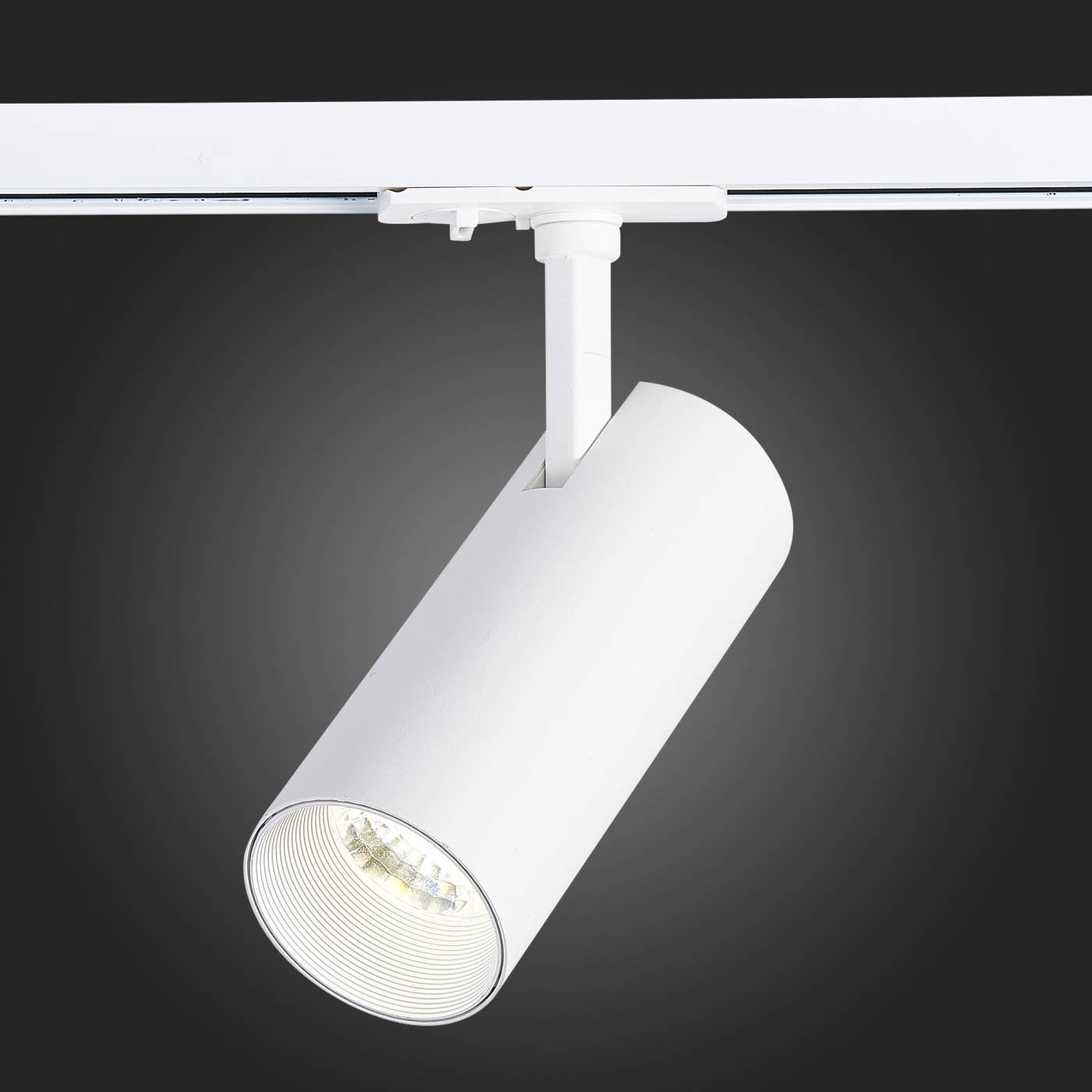 ST350.546.15.36 Трековый светильник ST Luce Mono ST350.546.15.36