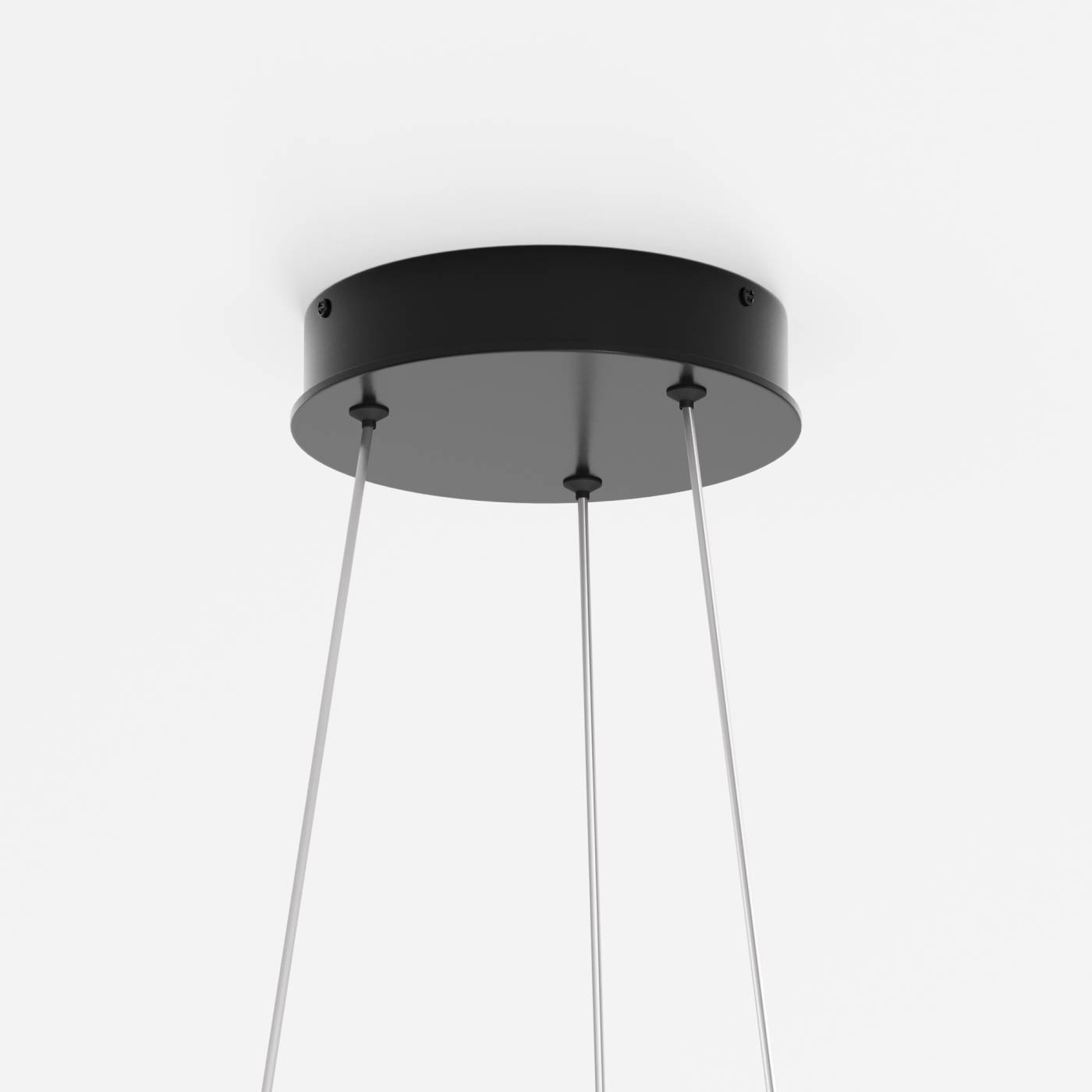 Подвесная люстра Maytoni Rim MOD058PL-L22BK