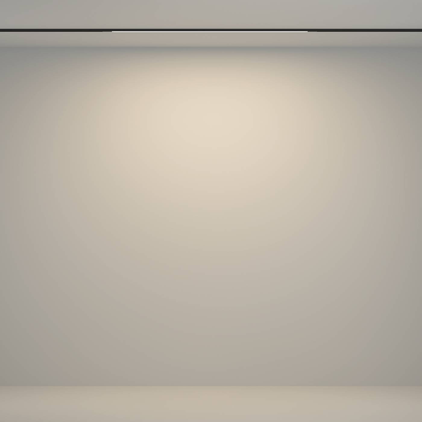 Трековый светильник Maytoni Flex TR180-1-12WTW-B