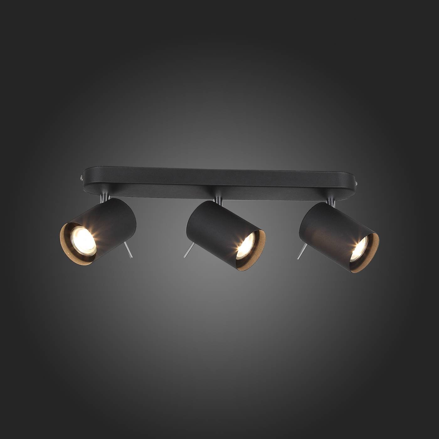 SL597.401.03 Светильник спот ST Luce Fanale SL597.401.03