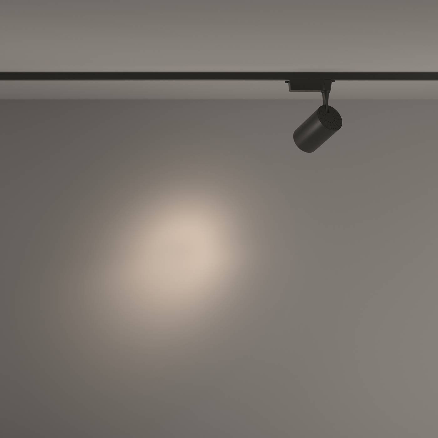 Трековый светильник Maytoni Vuoro TR003-1-26W4K-S-B