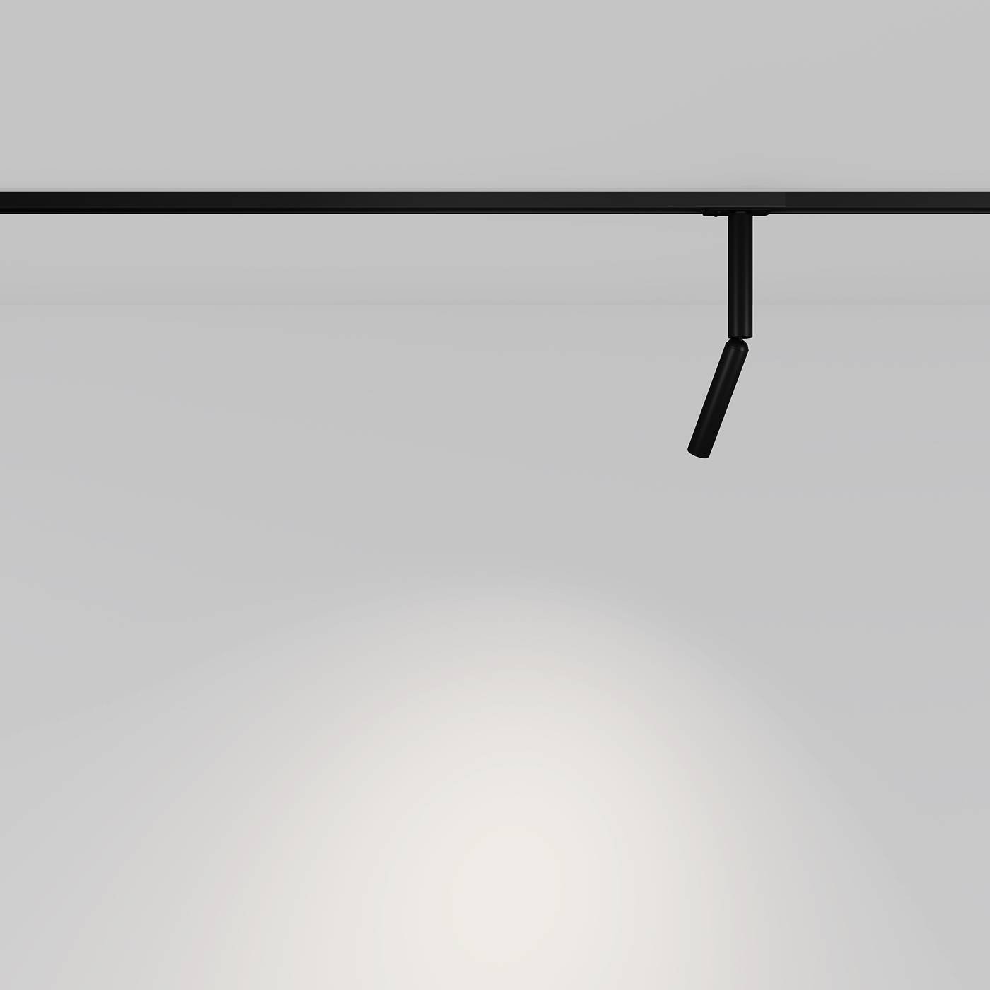 Трековый светильник Maytoni Focus T TR142-1-6W3K-B