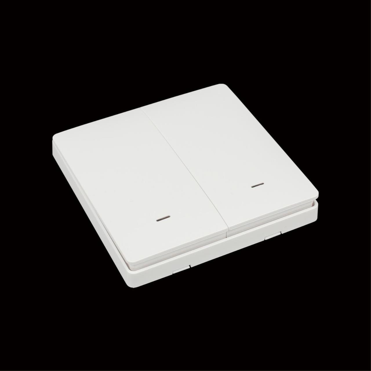 APL.0190.00.02 Выключатель двухклавишный Aployt Magnetic track 220 APL.0190.00.02