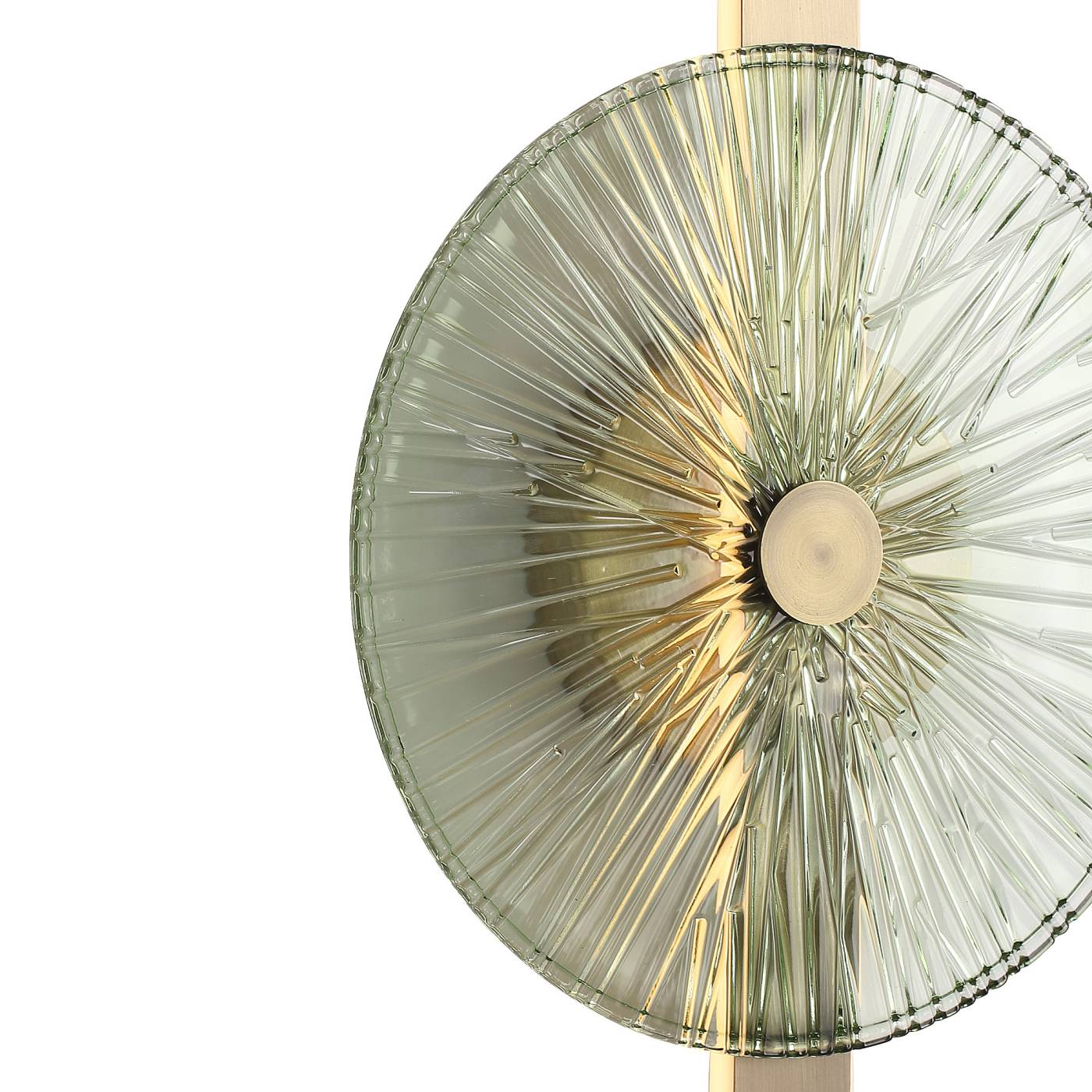 Настенный светильник ST Luce Wasi SL6141.321.01