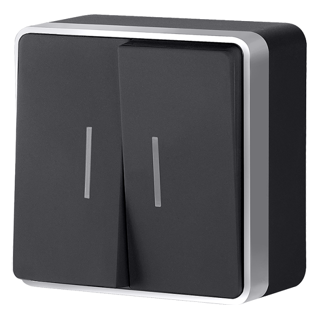 Выключатель Werkel W5020134/ Выключатель двухклавишный с подсветкой Gallant (черный с серебром)