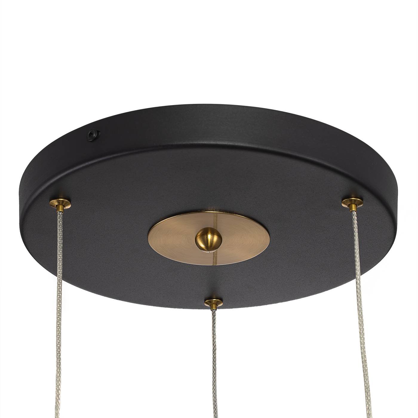 CL253020 Подвесной светильник TANNA Citilux CL253020
