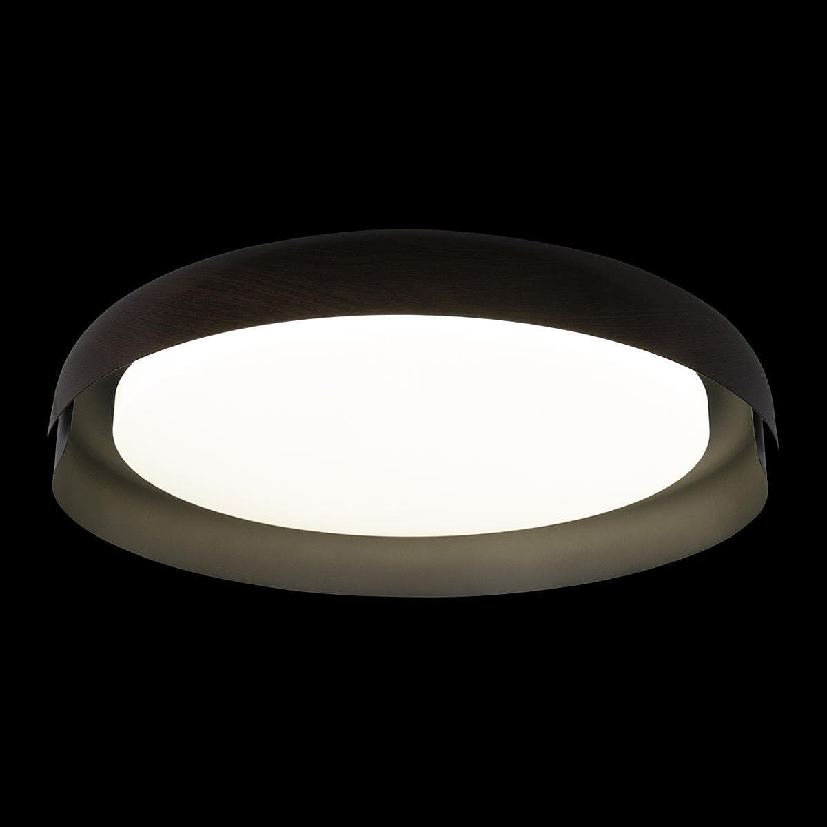 10198 Black Светильник потолочный Loft It Coin 10198 Black