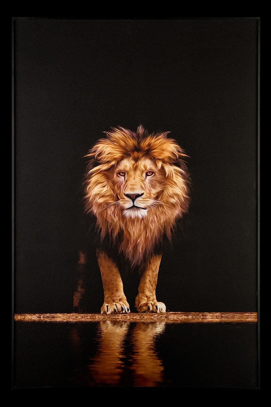 TD142 Картина настенная Teona Decor Lion TD142