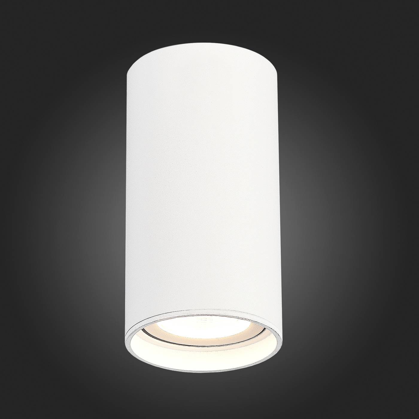 Накладной светильник ST Luce Functional ST157.542.15