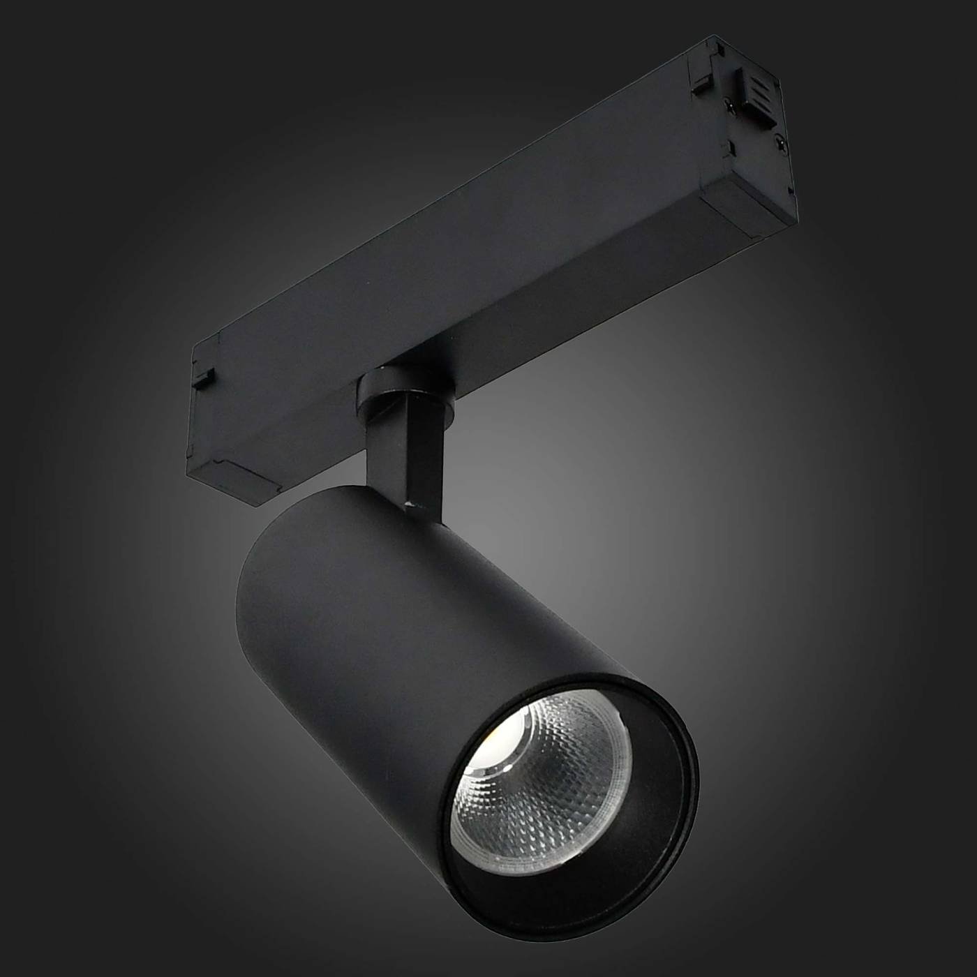ST660.496.10 Трековый светильник ST Luce St660 ST660.496.10