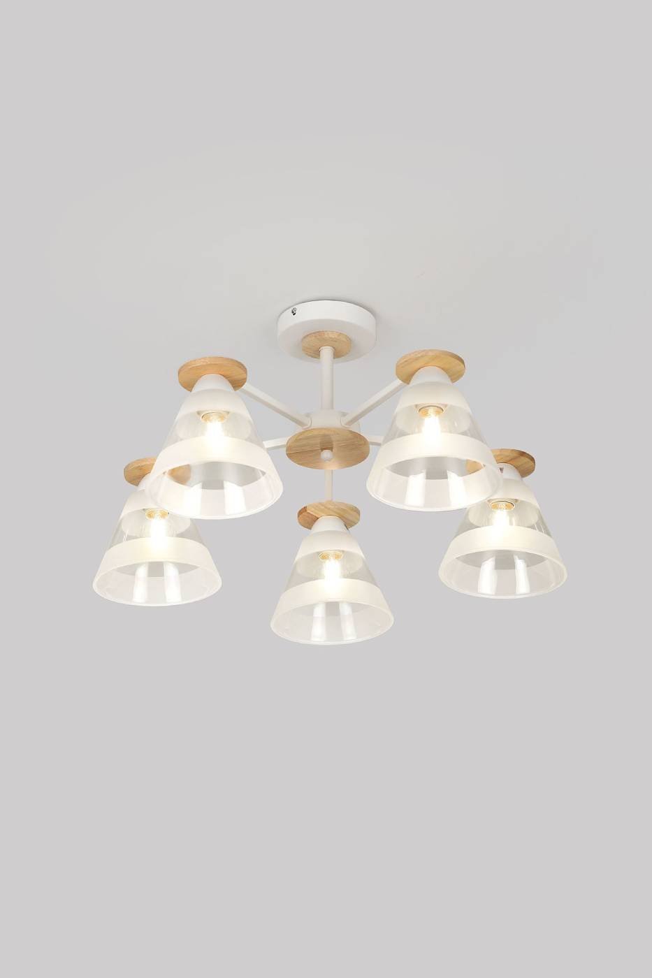 Потолочная люстра Rivoli Theothila 9177-305