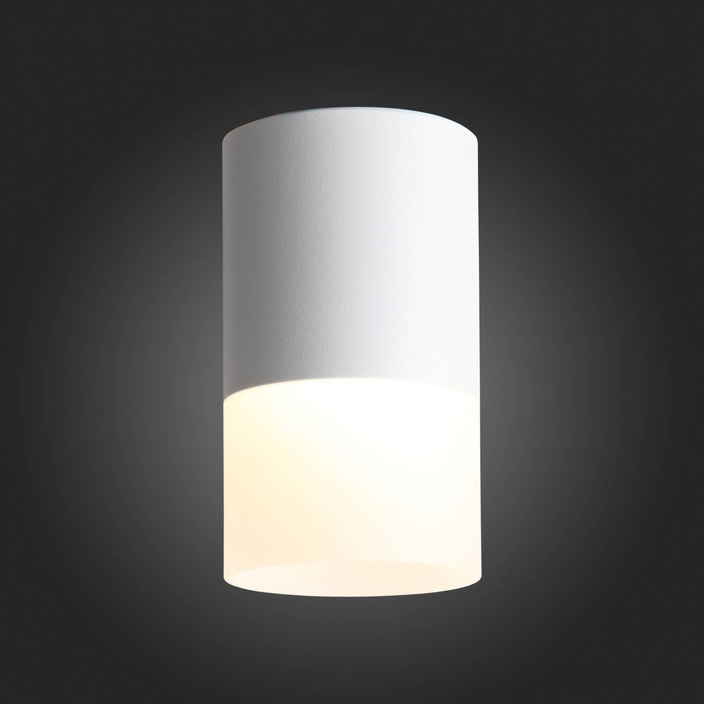 Накладной светильник ST Luce Ottu ST100.502.10