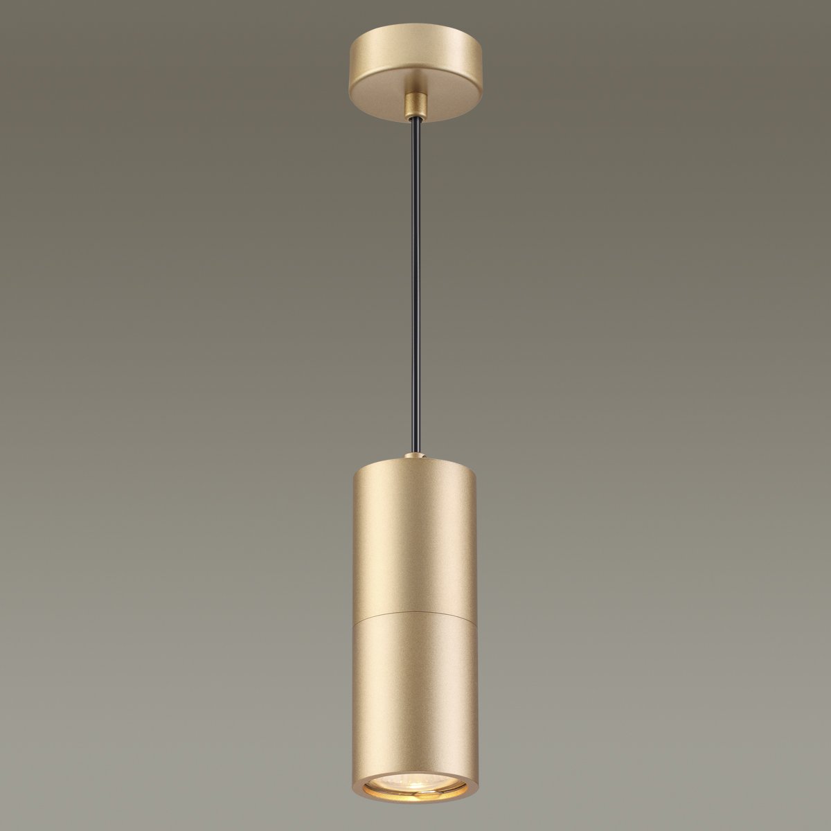 3828/1 Светильник подвесной Odeon Light Duetta 3828/1