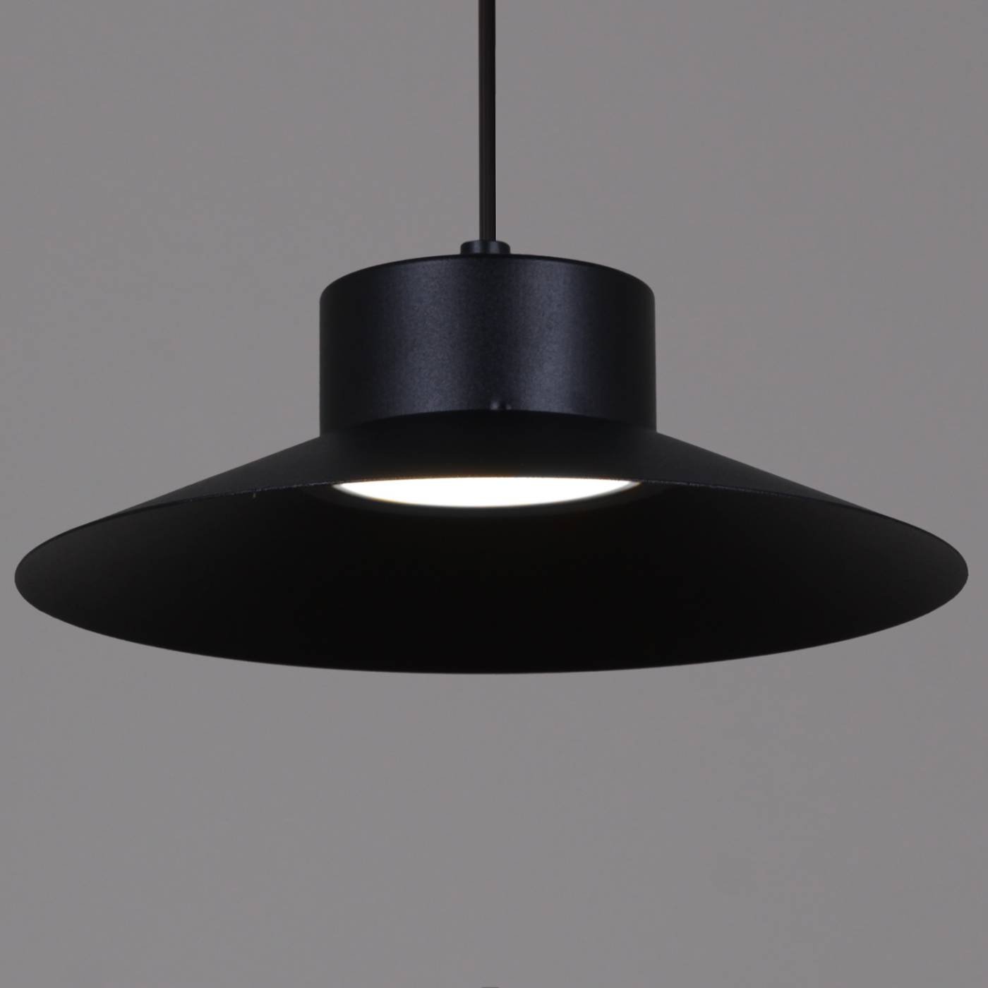 Подвесной светильник Reluce 40110-0.9-03A BK