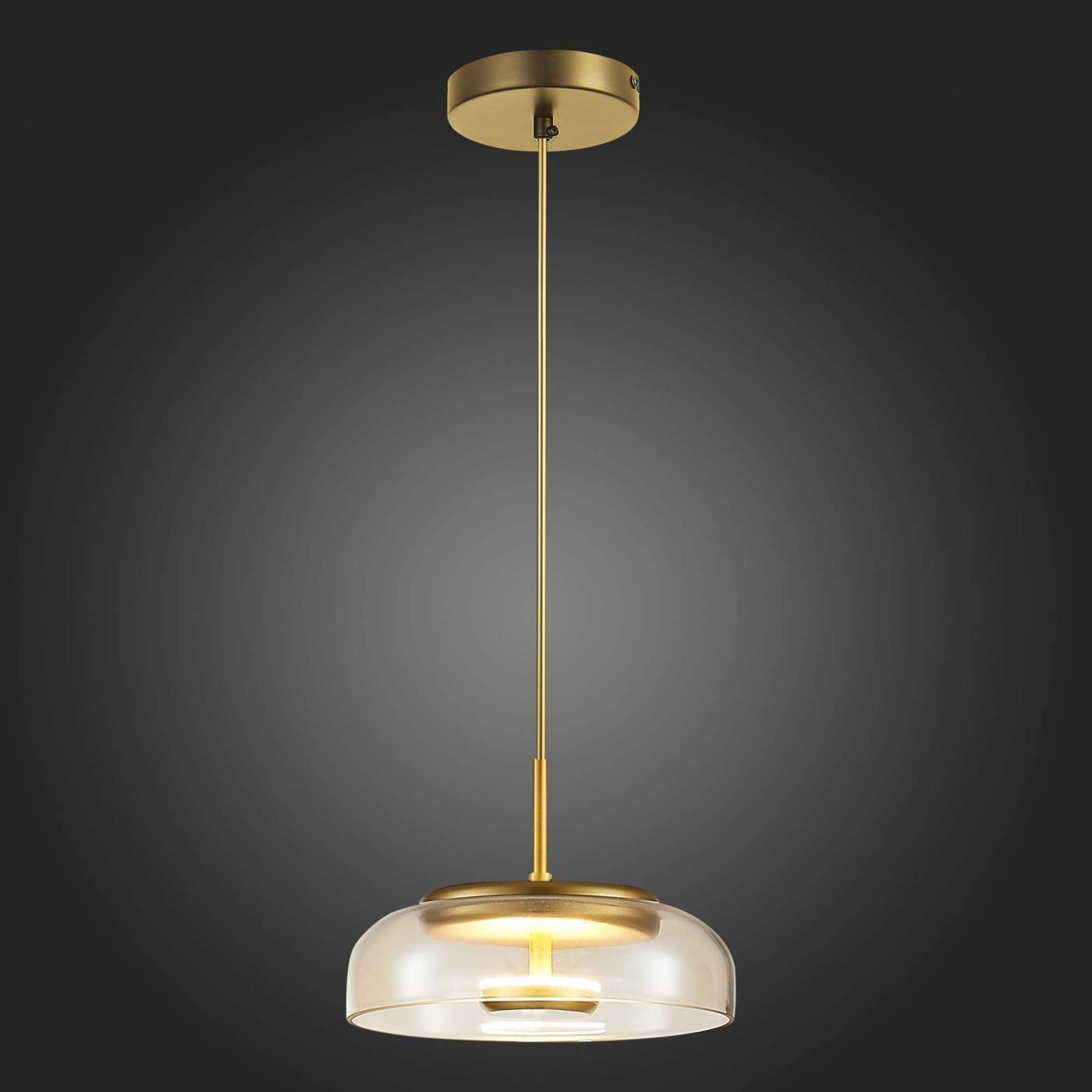 Светильник подвесной ST Luce Lazio SL6002.203.01