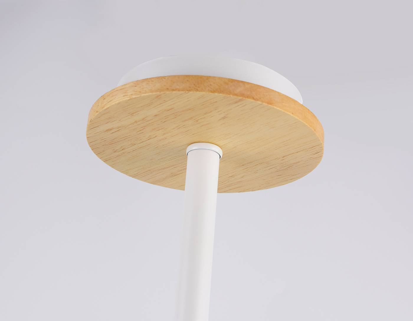 TR80166 Потолочная люстра Ambrella Loft TR80166