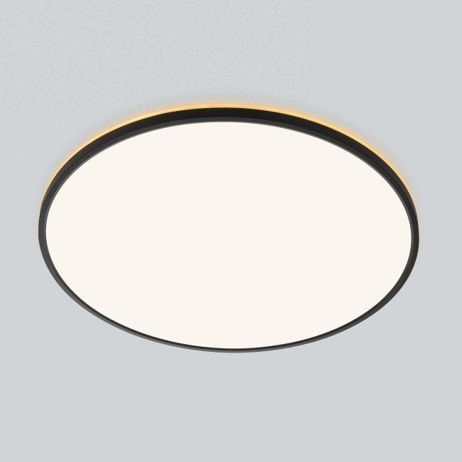 CL748601 Светильник потолочный Citilux Norma CL748601