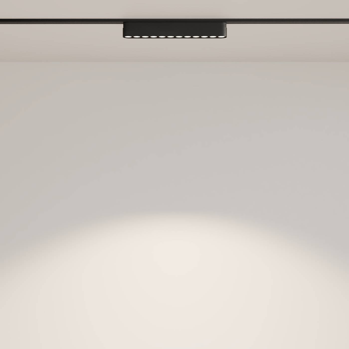 Трековый светильник Maytoni POINTS Radity TR082-1-12W4K-M-B