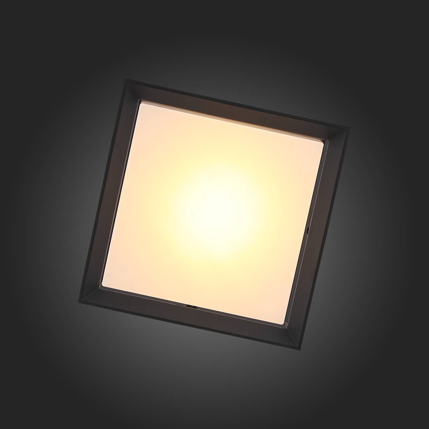 SL077.402.01 Уличные потолочные ST Luce Cubista SL077.402.01