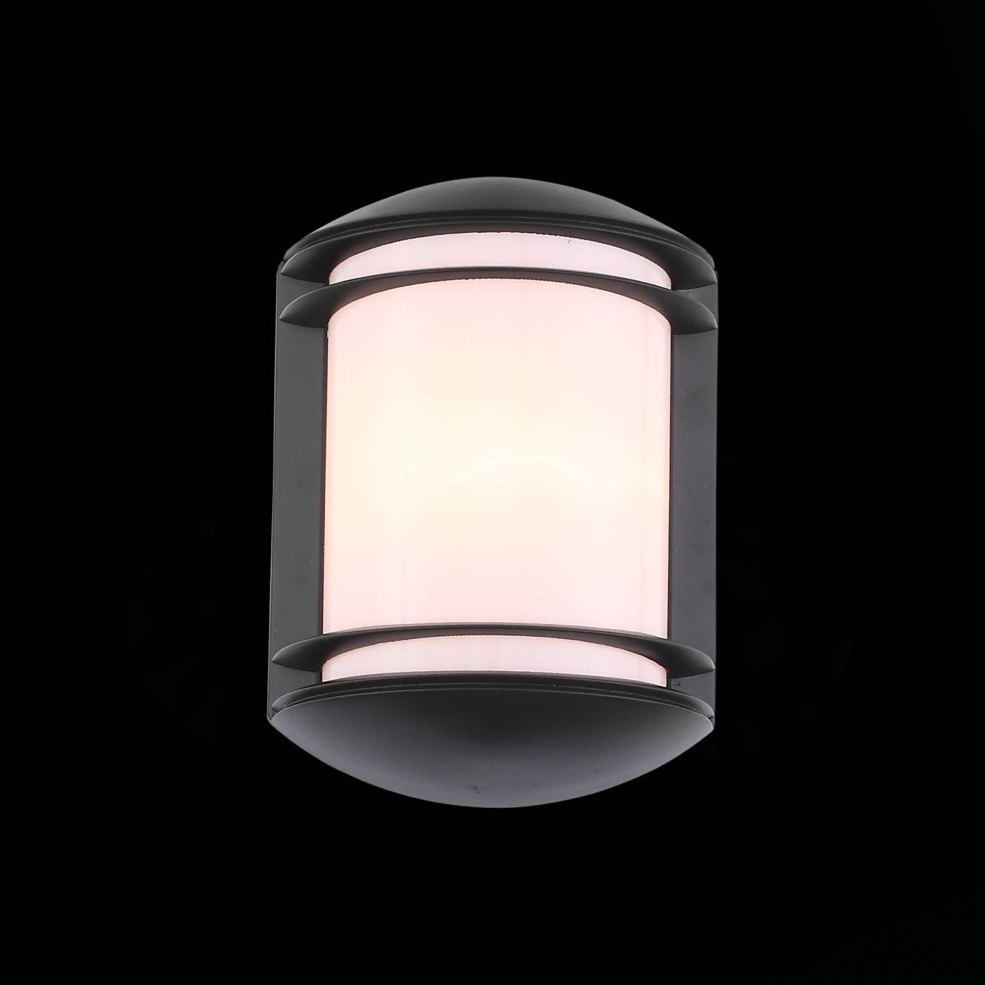 SL076.401.01 Уличный настенный светильник ST Luce Agio SL076.401.01