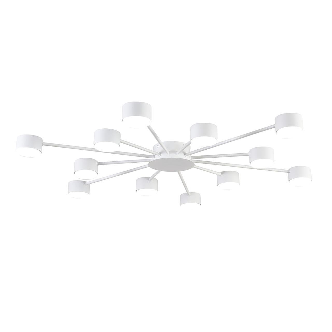Потолочная люстра Lumion Torina 8343/12C
