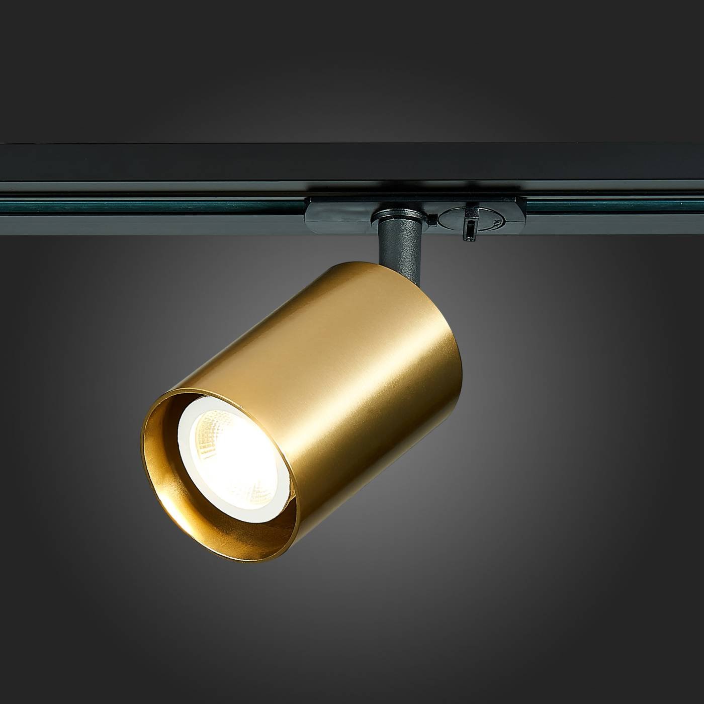 ST302.206.01 Трековый светильник ST Luce ST302 ST302.206.01