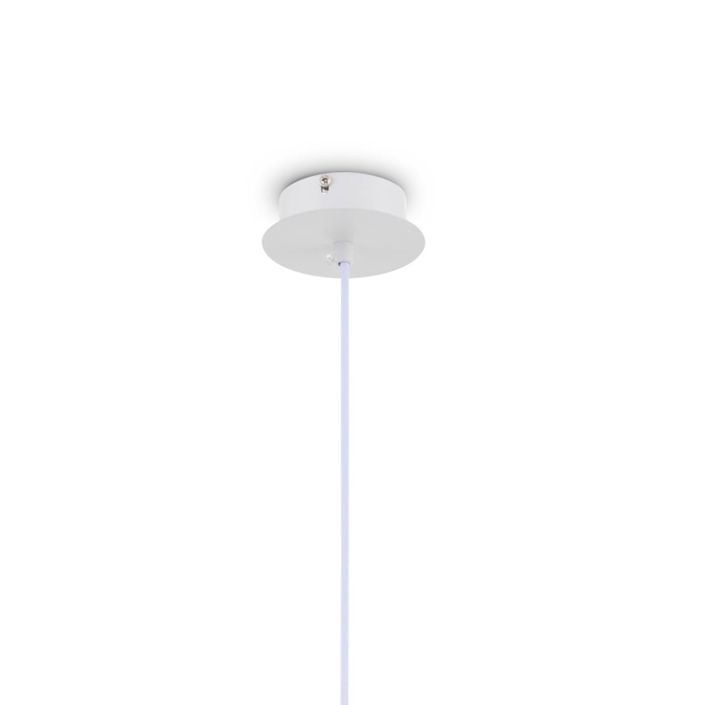 Подвесной светильник Mallow Freya FR5228PL-01W