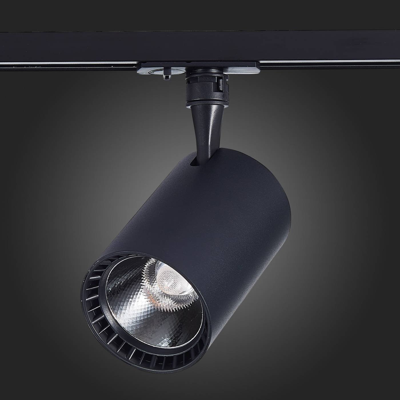 ST351.446.20.24 Трековый светильник ST Luce Cami ST351.446.20.24