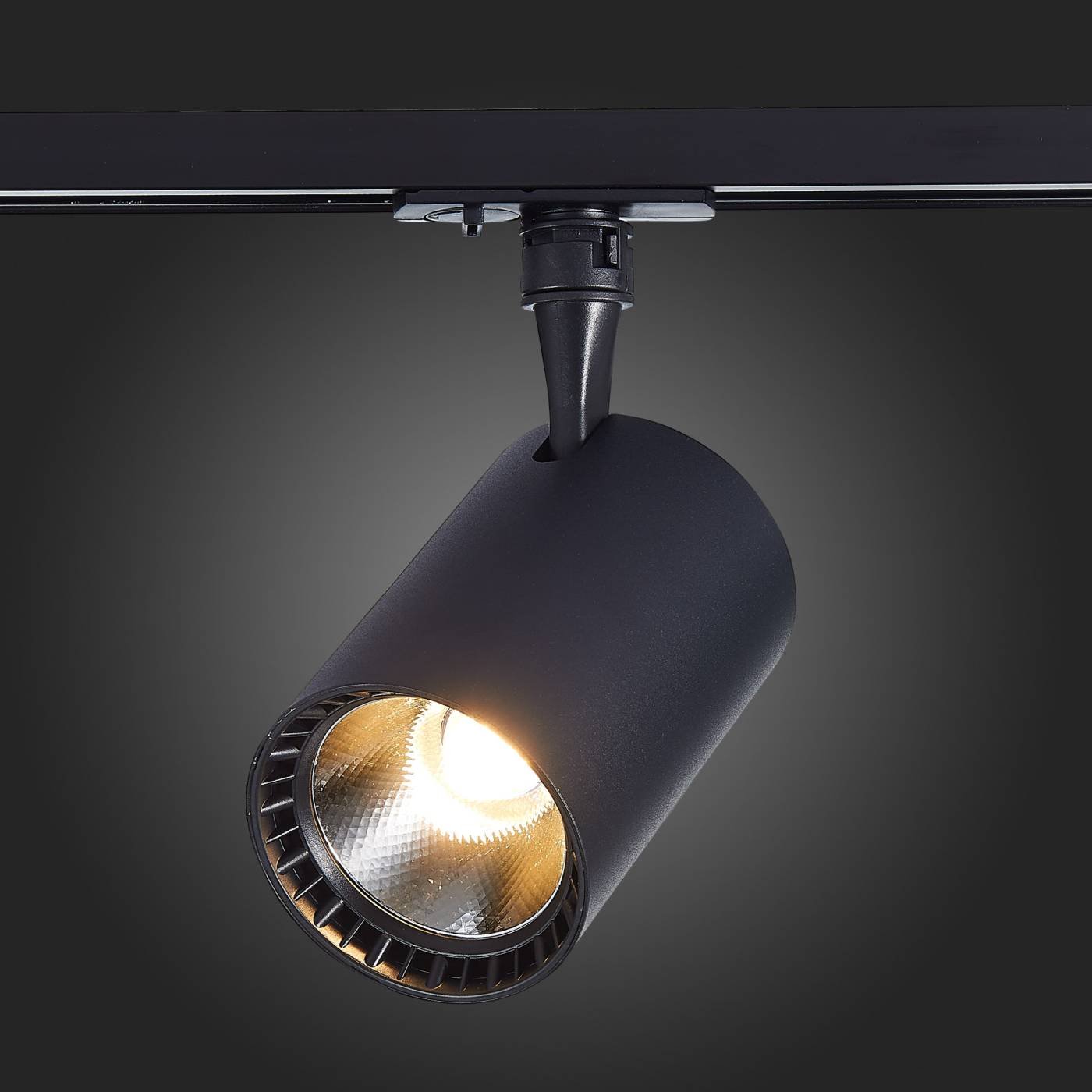 ST351.436.15.36 Трековый светильник ST Luce Cami ST351.436.15.36