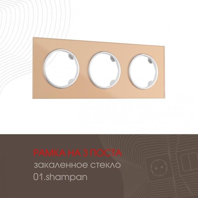 502.01-3.shampan Рамка Arte Milano Am-502.01 502.01-3.shampan