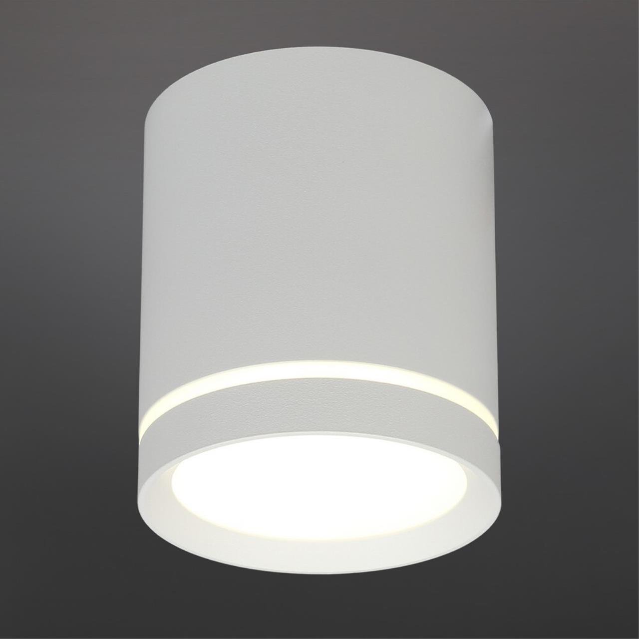 Накладной светильник Omnilux Capurso OML-102409-05