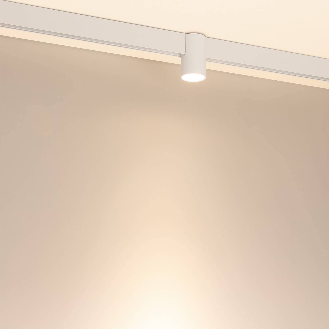 Трековый светильник Arlight Mag-Orient 059258