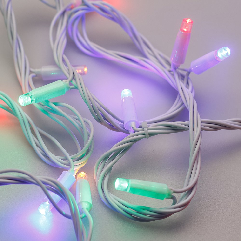 025823 Гирлянда Arlight 025823