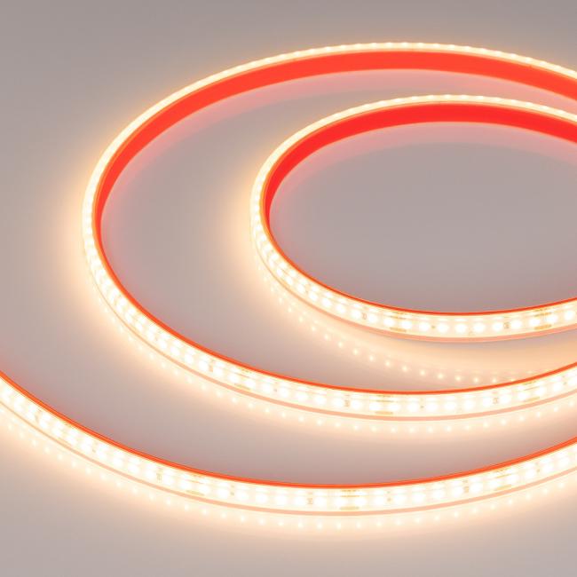 051595 Светодиодная лента Arlight Dot Герметичная 051595