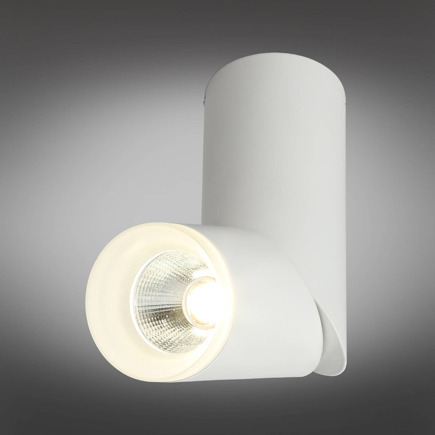OML-100209-10 Накладной светильник Omnilux Ultimo OML-100209-10