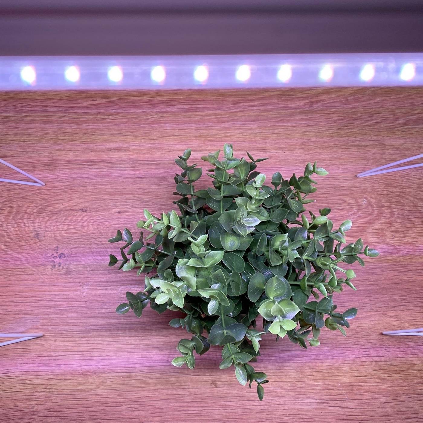 Лампа для растений Uniel ULI-P10-18W/SPFR IP40 SILVER